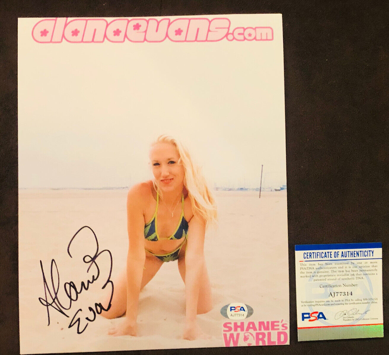 Alana Evans Adult STAR SIGNED 8X10 Photo Poster painting AUTOGRAPH Sexy Penthouse Playboy PSA