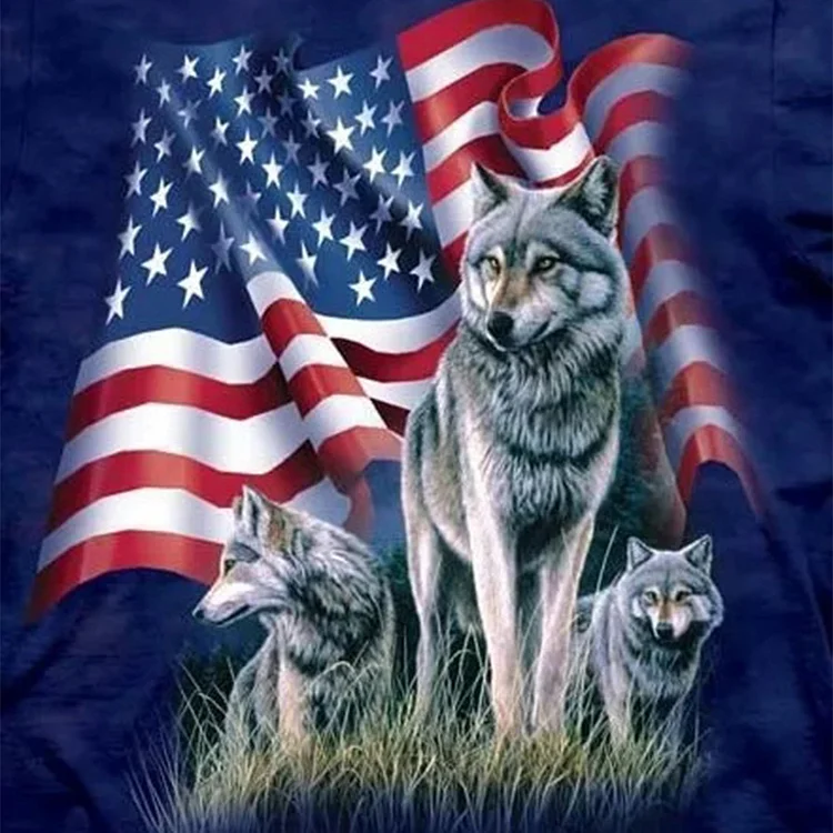 American Flag With Wolf - Full Round 30*30CM