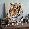 Framed Diamond Painting - Special Shaped - Tiger(25x25cm)