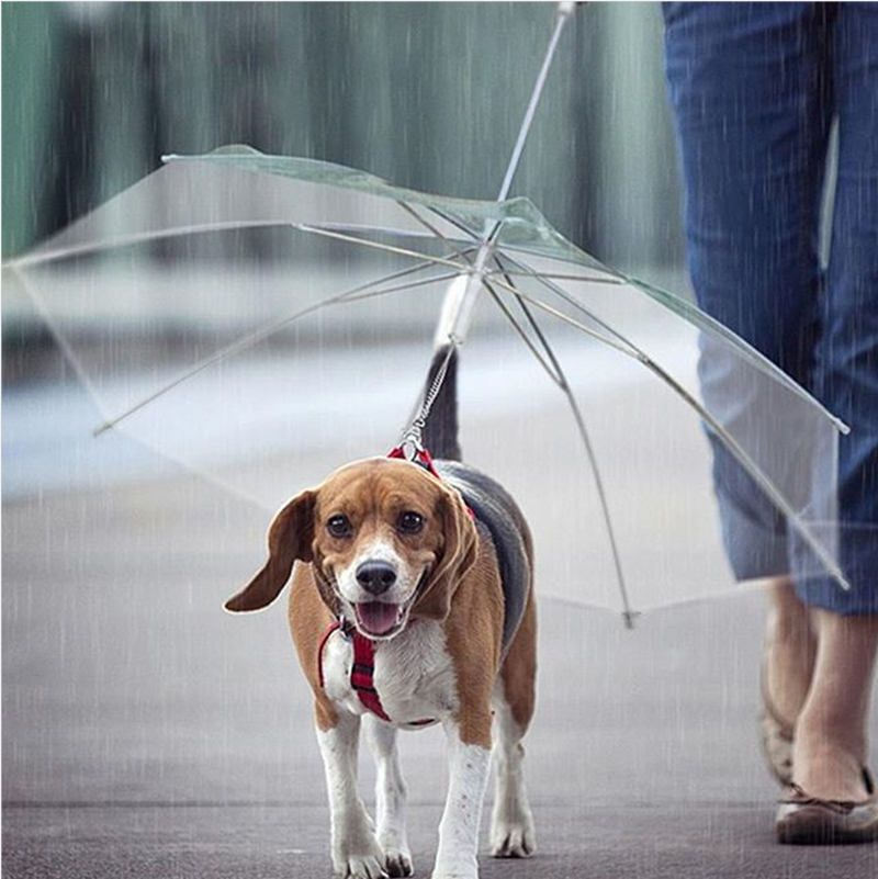Dog Walking Waterproof Clear Cover Built-in Leash Rain Sleet Snow Pet Umbrella