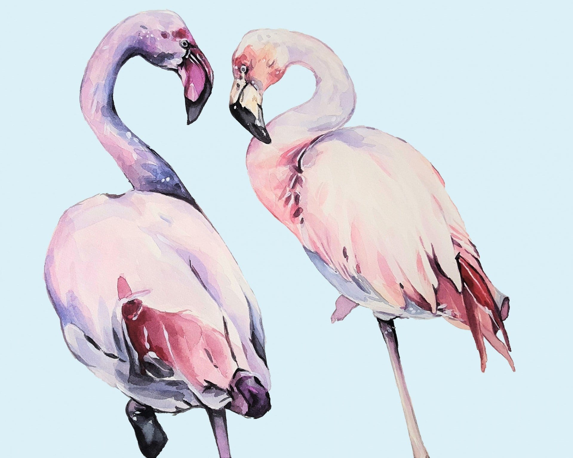 

Female Flamingos – Paint By Numbers - 40*50CM, 501 Original