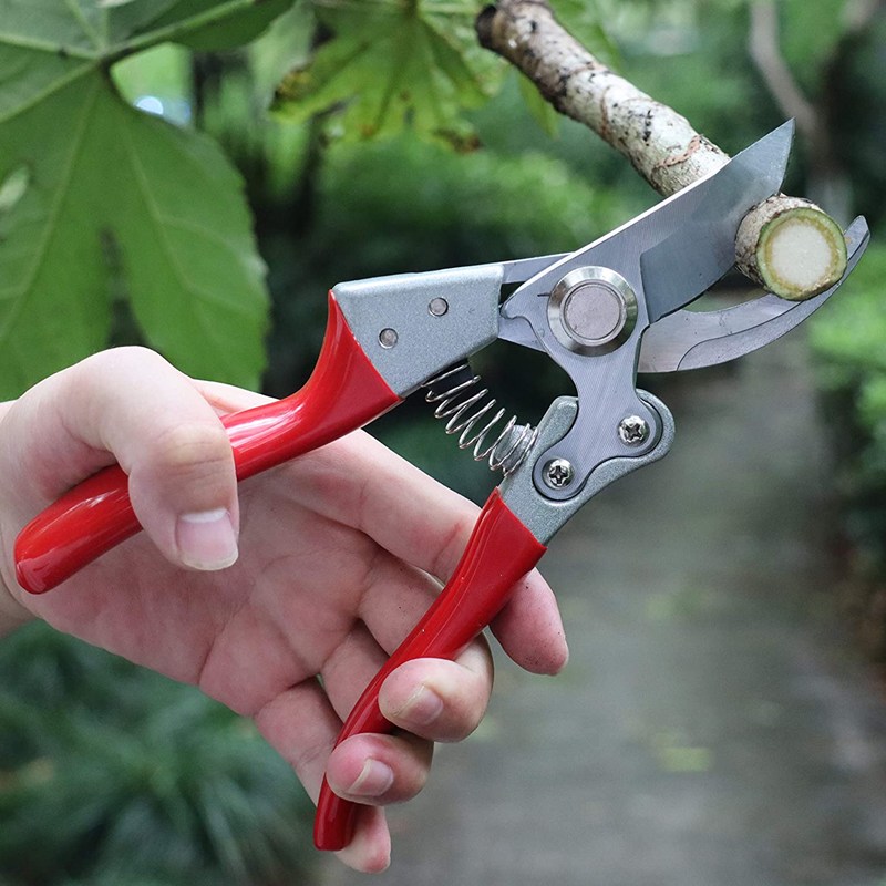 

Factory direct sales of pruning shears, 501 Original