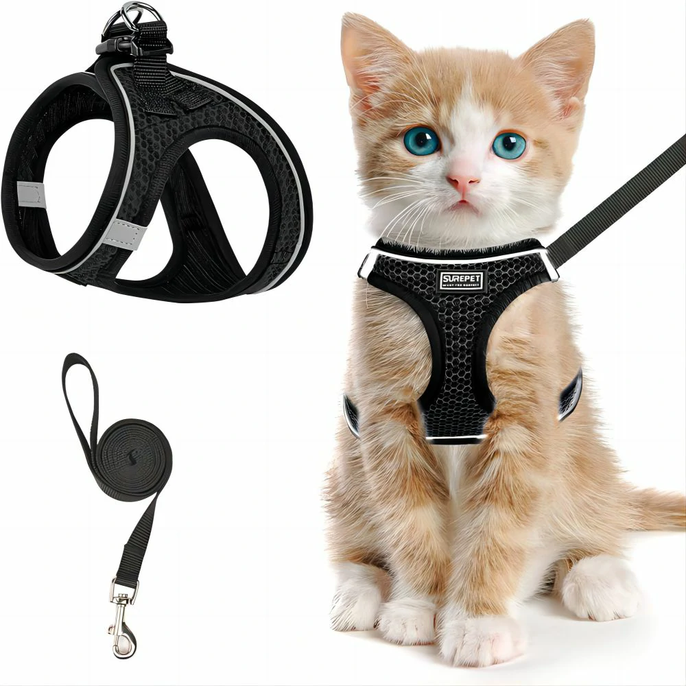 Cheetah Action Serie - Cat Harness Chic Adventures Secure Companionship