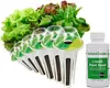 Heirloom Salad Vegetables Greens Mix Seed Pod Kit