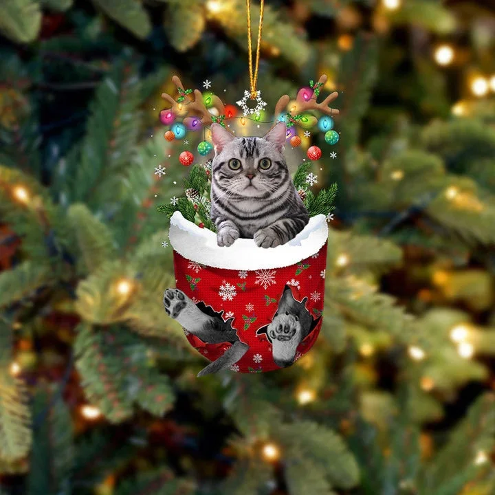 Cat 6 In Snow Pocket Christmas Ornament.