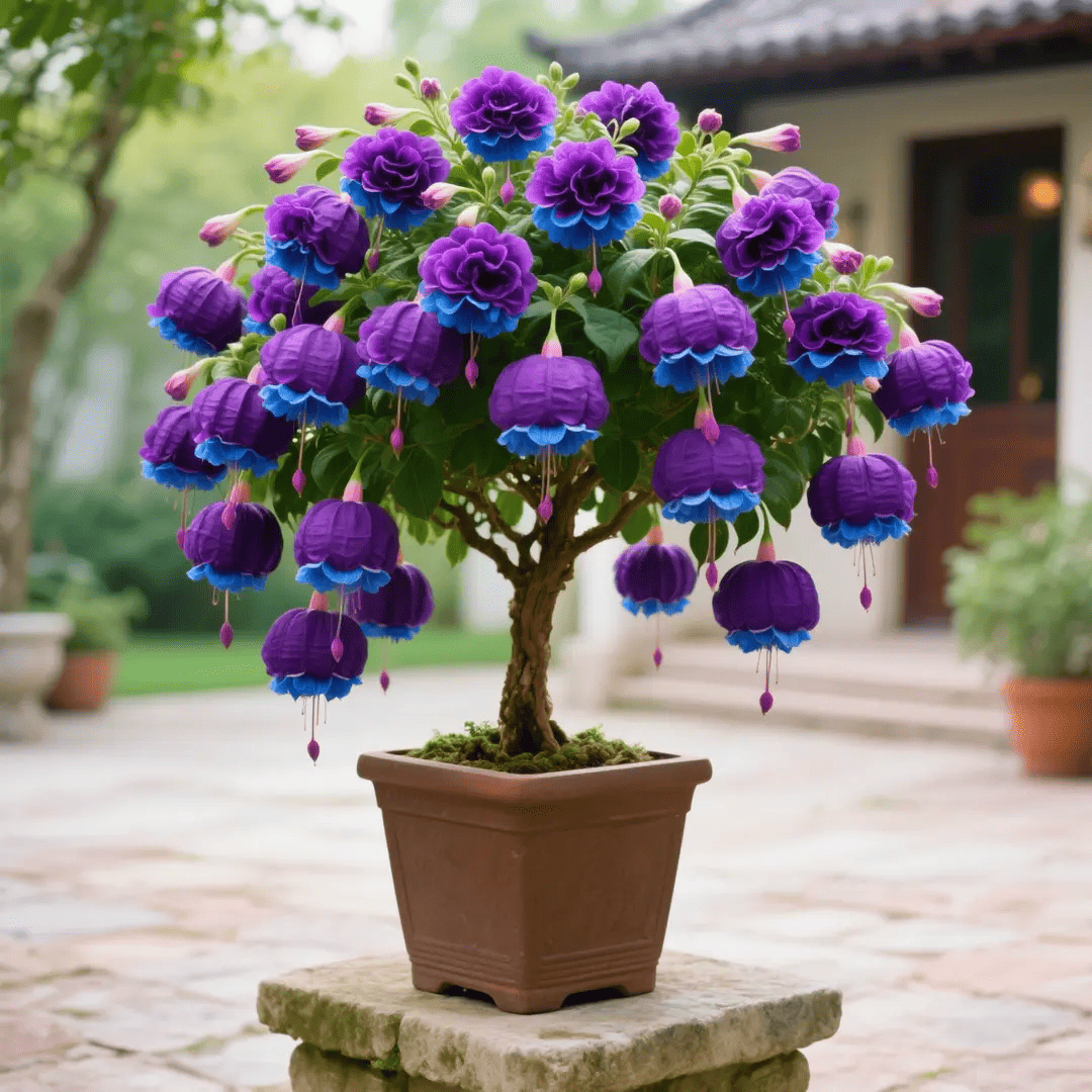 Red-🔔Double Fuchsia Bulbs