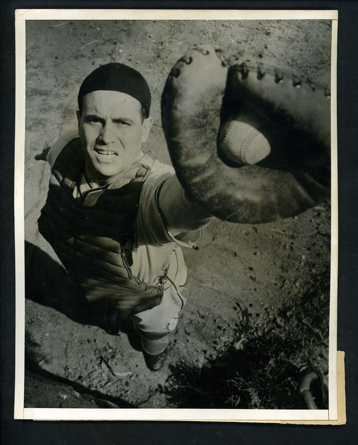 Luke Sewell 1937 Type 1 Press Photo Poster painting Chicago White Sox