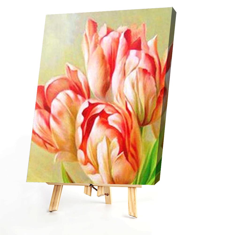 Tulip - Painting By Numbers - 40*50CM gbfke