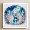 Owl On Gemstone Under Moonlit Night-Full Embroidery 3 Strands 11CT Stamped Cross Stitch-40*40CM