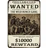 Wanted - Vintage Metal Signs - 20*30cm/30*40cm - Western