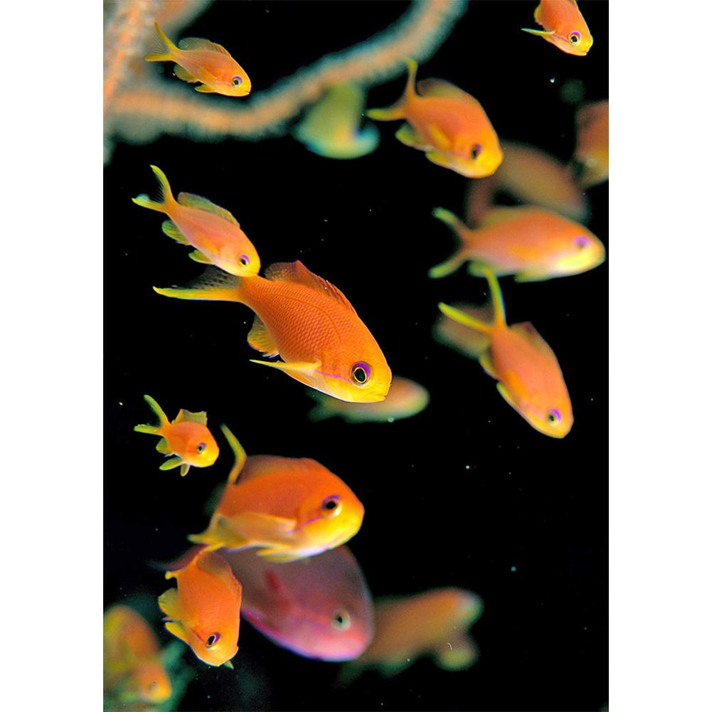 

Gold Fish-Round Drill Diamond Painting-30*40CM, 501 Original