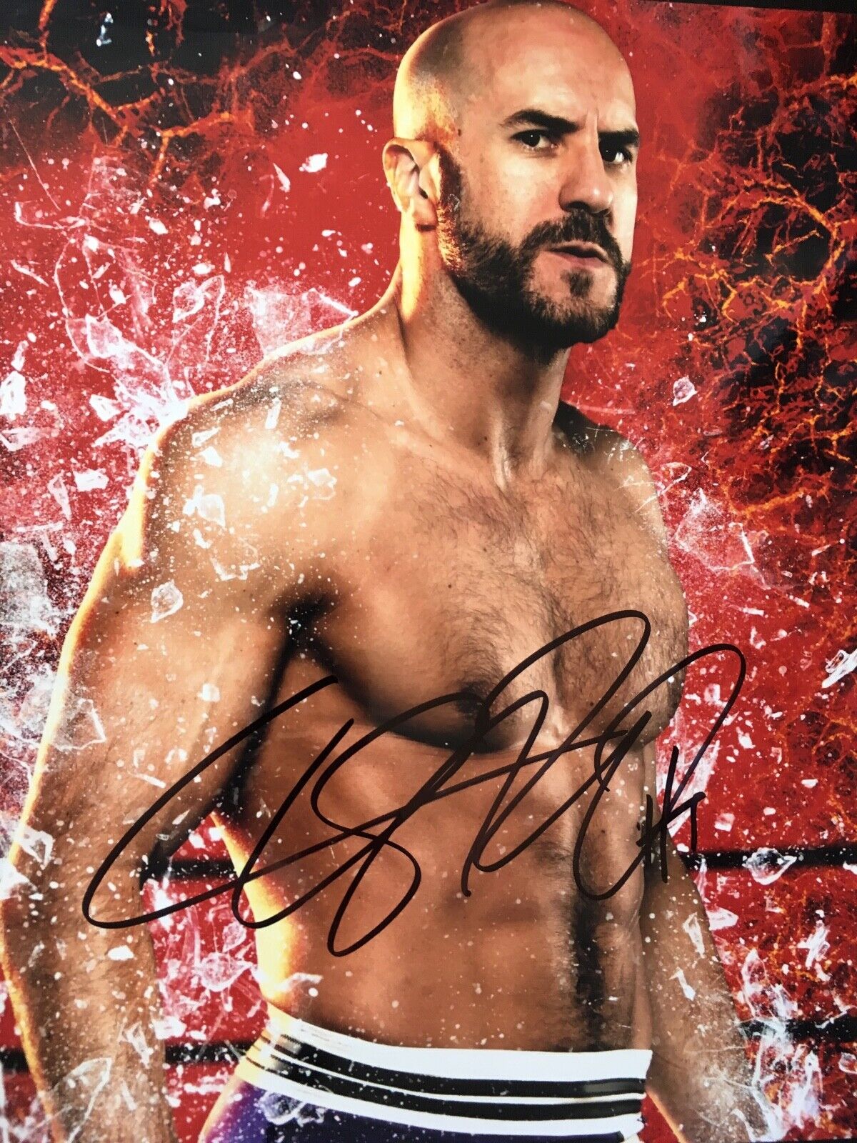 CESARO - AMERICAN PRO WRESTLER - EXCELLENT SIGNED COLOUR Photo Poster painting