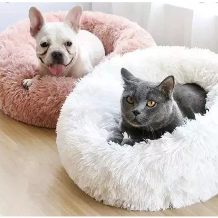 best pet bed