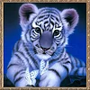 Cute Little Tiger  | Full Round Diamond Painting Kits