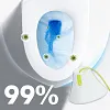 Nettoyant D&eacute;sodorisant et D&eacute;tartrant pour Toilettes