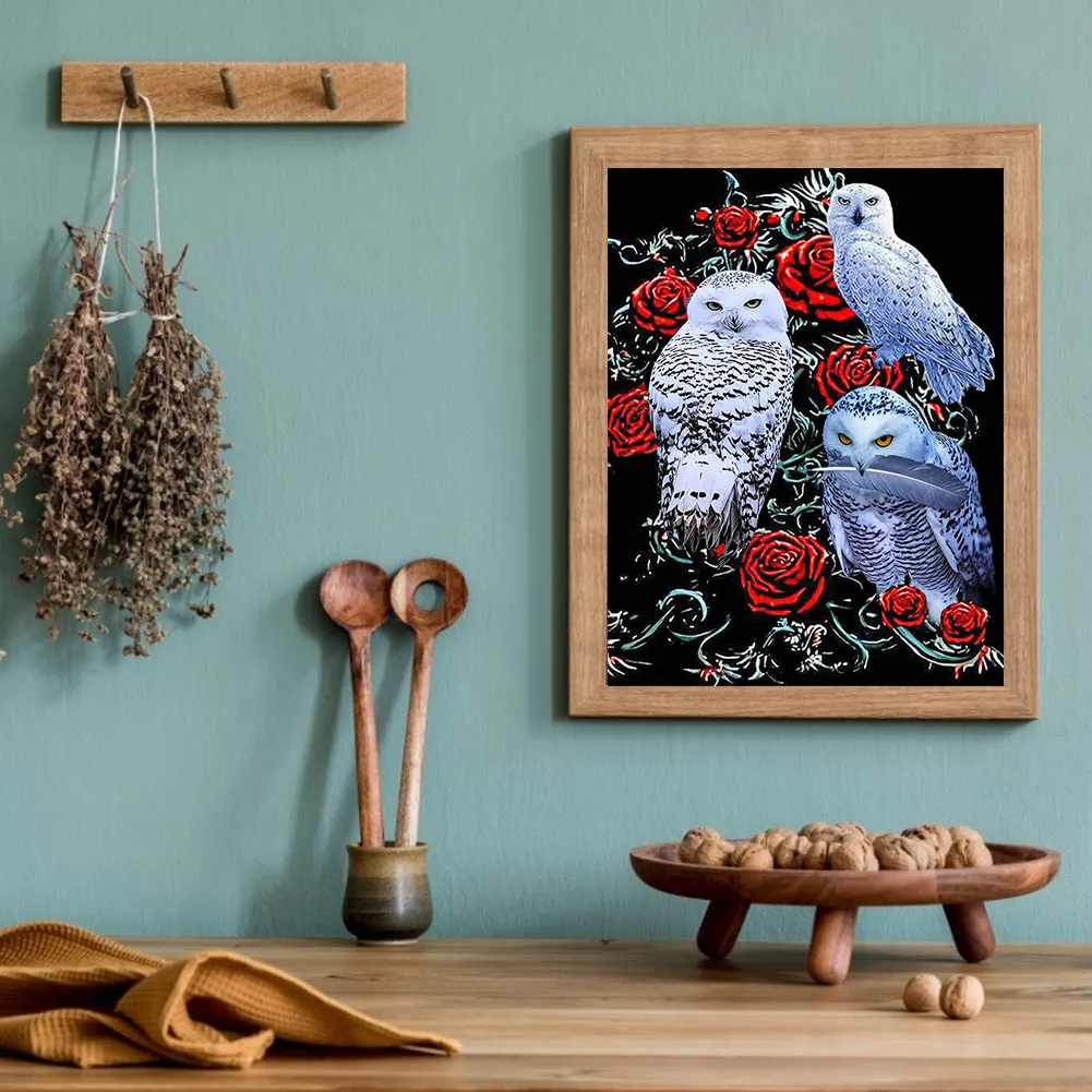 Full Round Diamond Painting 40*50cm - Owl