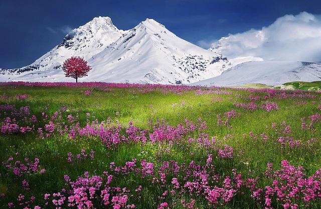 

Beautiful Scenery of Mountains – Paint By Numbers - 40*50CM, 501 Original