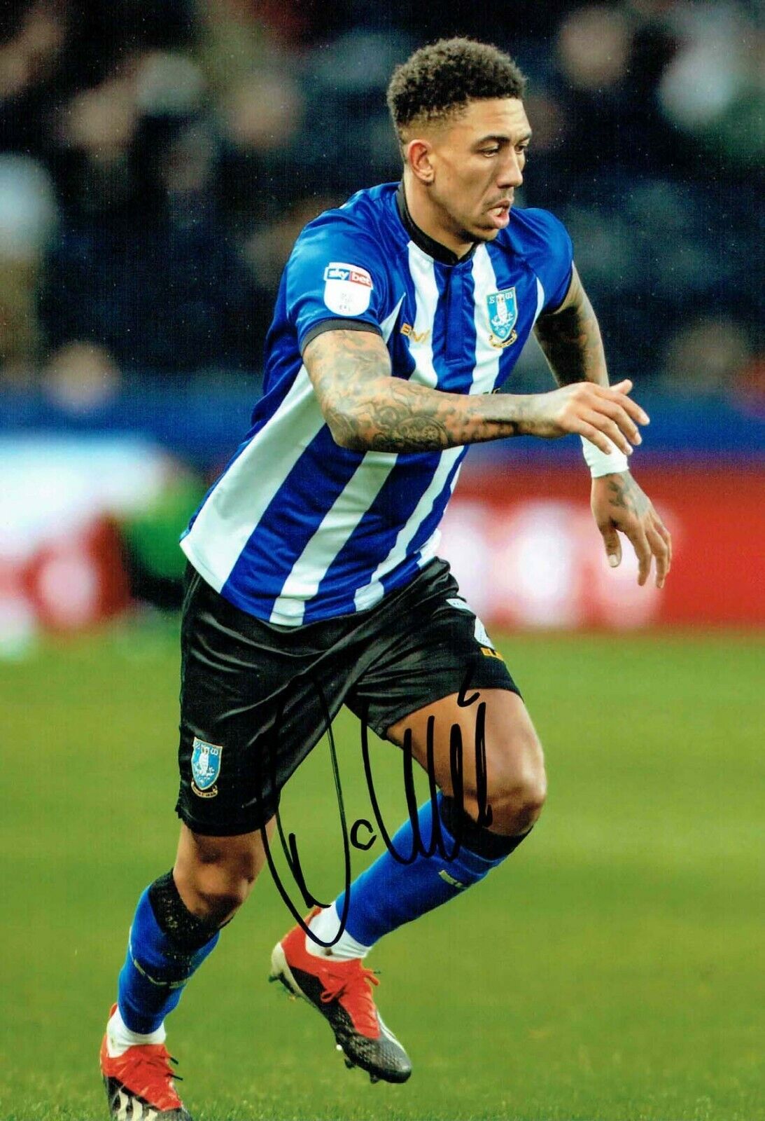 Liam PALMER Sheffield Wednesday SWFC SIGNED 12x8 Photo Poster painting 2 AFTAL COA OWLS