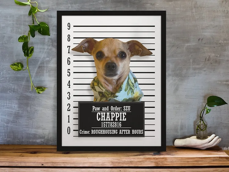 Custom Pet Portrait From Photo Canvas- Dog Mugshot, Custom Pet Portrait Art