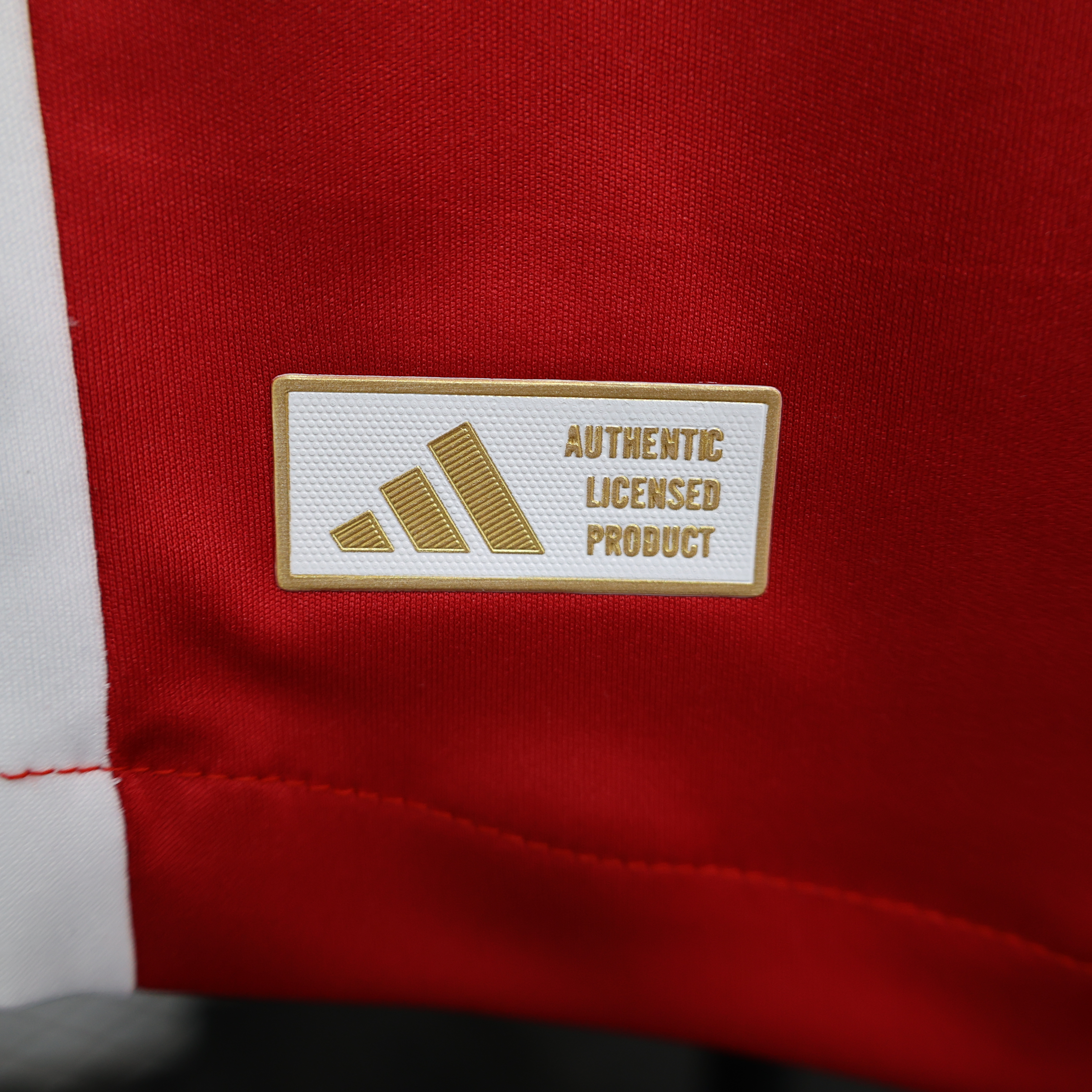 24/25 Ajax Home Player Version Men's Football T-Shirt Thai Quality