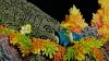 1/20 Scale World Zukan Snorlax Set - Pokemon Statue - Mingliu Gongshe Studio