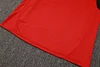 Joyfball 2025/2026 Kids Size Arsenal Half-Pull Training Suit Red Football Shirt 1:1 Thai Quality
