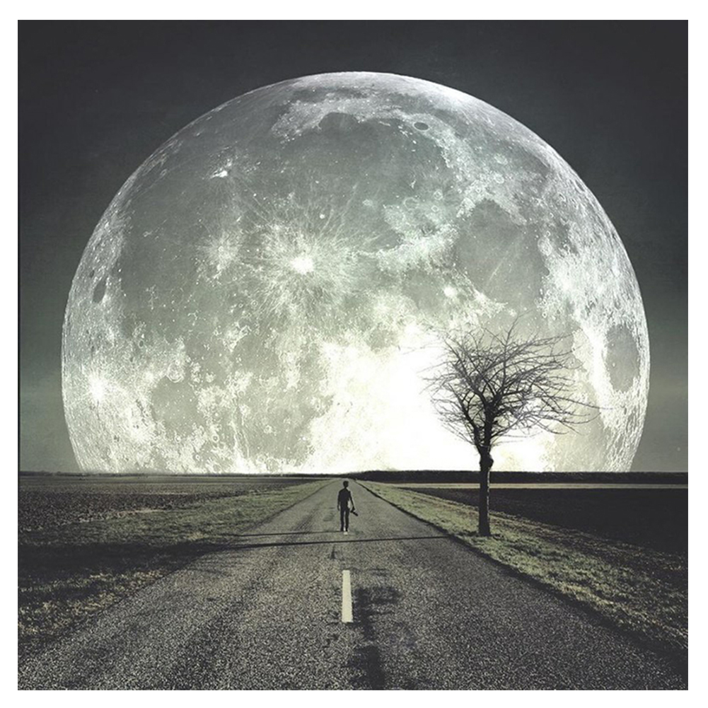 

30*30CM-Run to Moon Colorful-Round Drill Diamond Painting, 501 Original