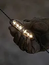 Wind Rope Buckle Light IPX4 Waterproof Warning Light Charging Tent String Lamp