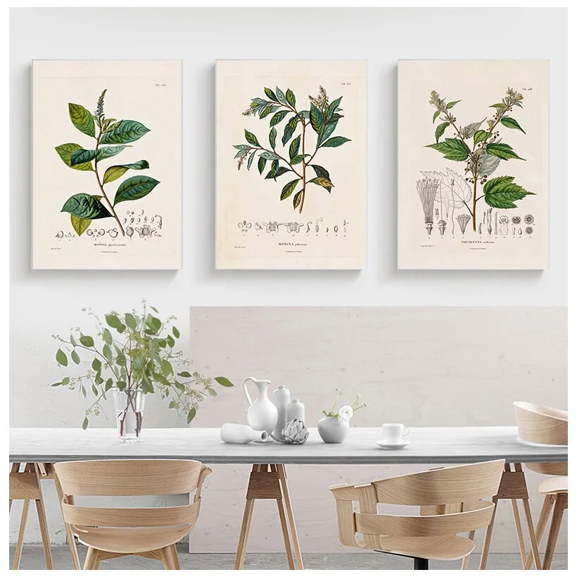 Botanical Studies Vintage Posters and Prints Antique French Plant Illustrations Canvas Painting Botany Wall Art Pictures Decor