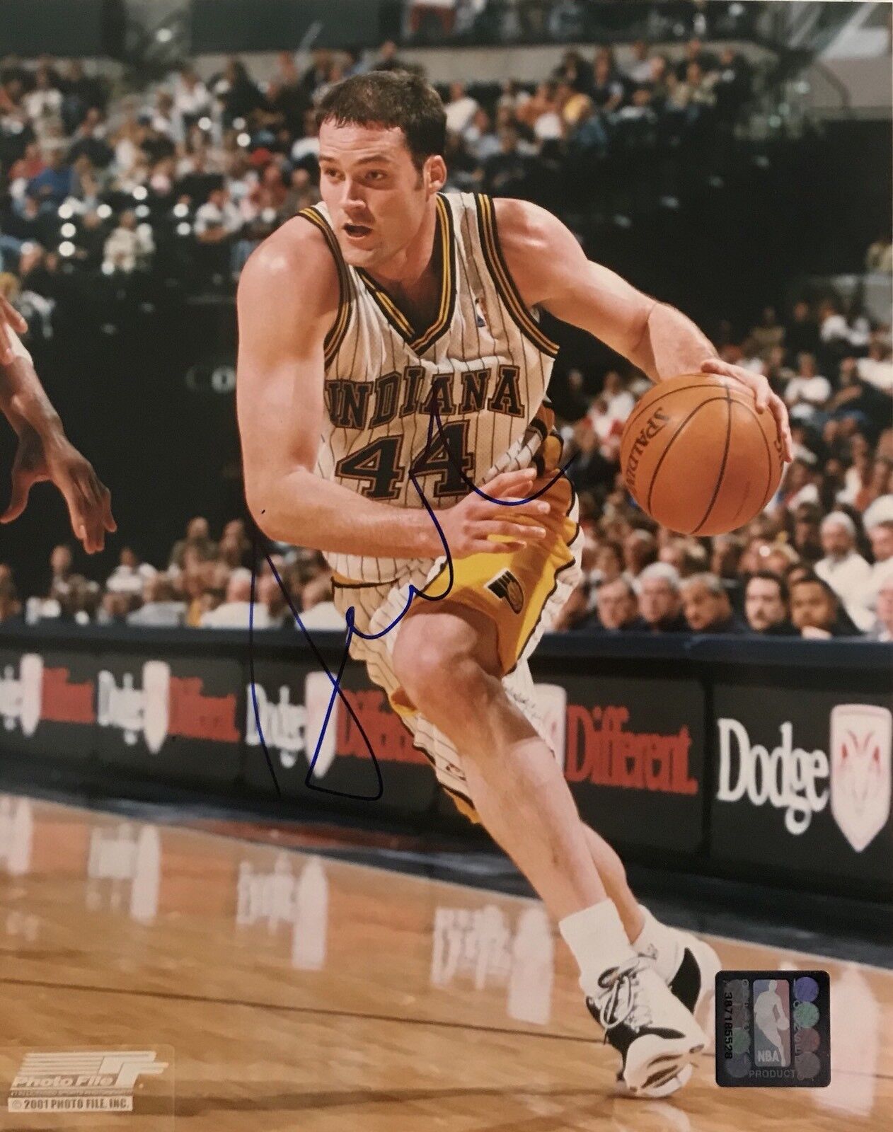 Austin Croshere Signed Auotgraphed Indiana Pacers 8x10 Photo Poster painting Coa