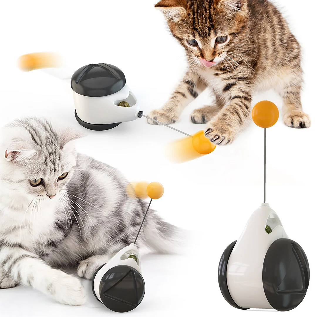 Cat tumbler balance swing car toy and catnip funny pet toy