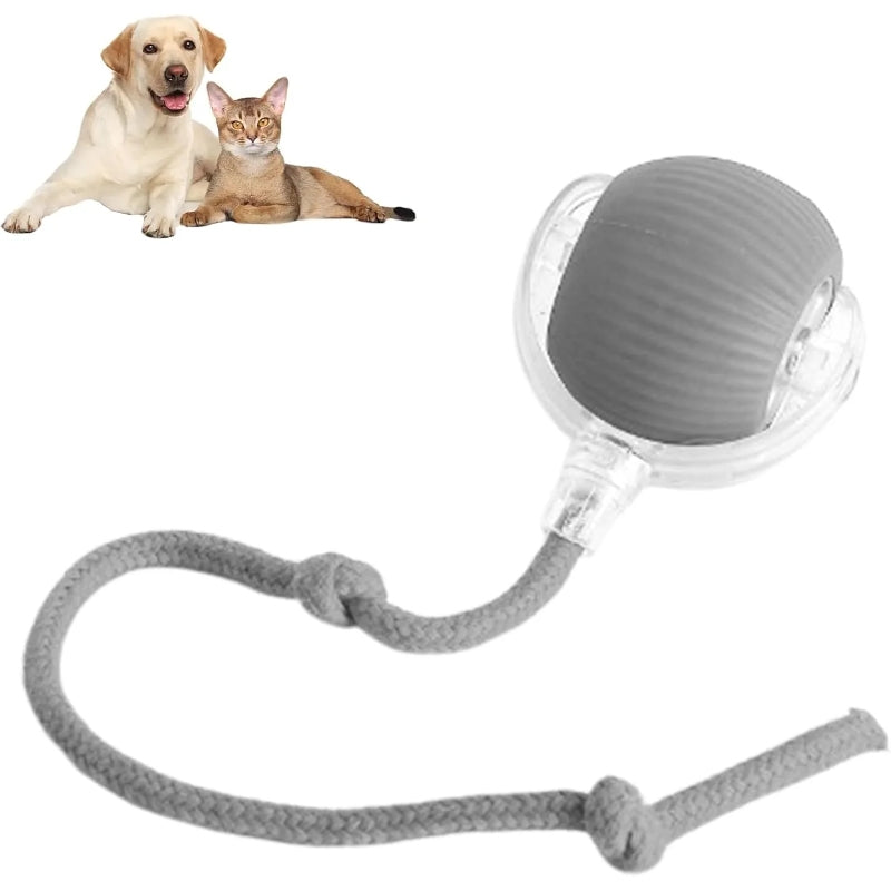 Unique Gift Smart Interactive Pet Toy Ball