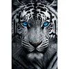 (Grande Taille) Tigre blanc avec des yeux bleus-partiel ab rond diamant peinture-40 * 60cm