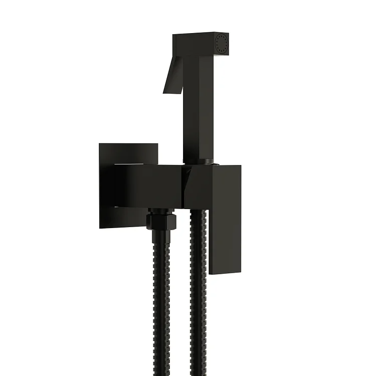 EVERSTEIN Handheld Bidet Sprayer with Temperature Control in Matte Black