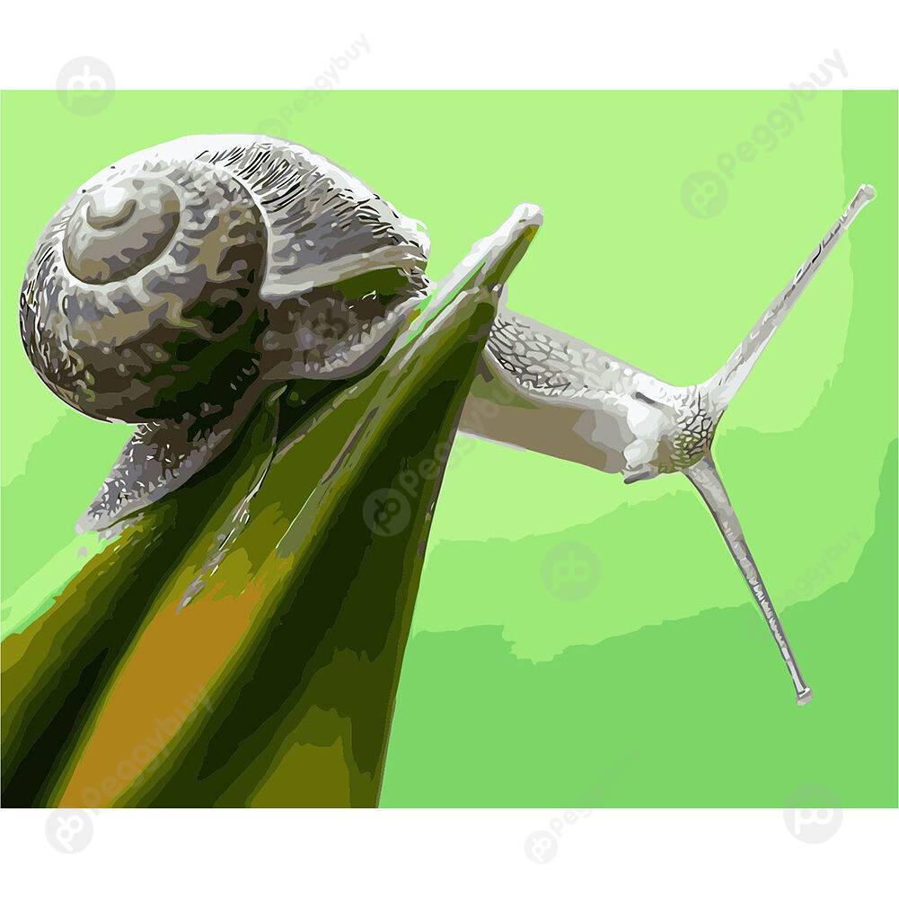 

40*50CM Paint By Numbers-Snails, 501 Original
