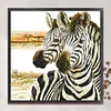 Zebra - 9CT Partial Beaded Cross Stitch Kit(62x62cm)