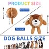 Zoo Ball | 2-in-1 Plush and Squeaky Tennis Ball for Dog | No Stuffing Tough Interactive Fetch Dog Toys for Small Medium Large Dogs
