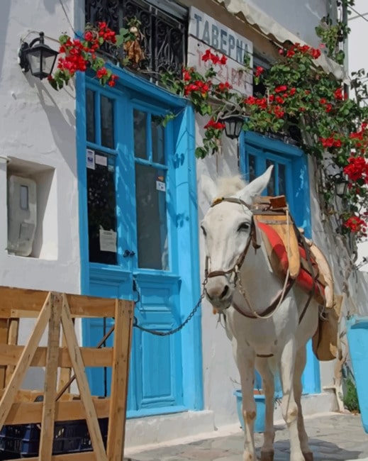 

White Donkey In Greece – Paint By Numbers - 40*50CM, 501 Original