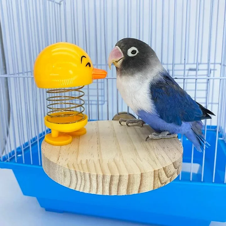 Birdcagelab Talking Parrot Bird Toy