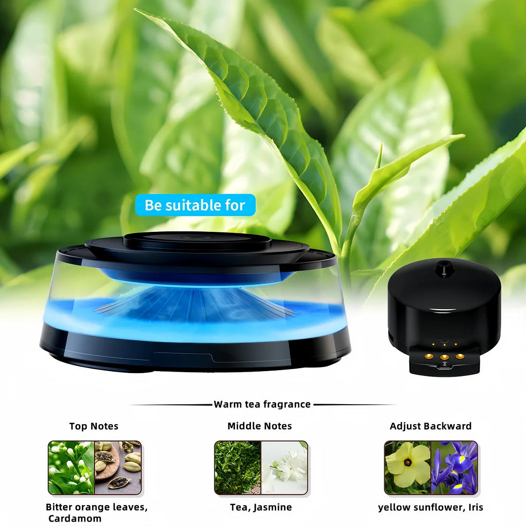 Wireless magnetic charger Atmosphere light Audio Cloud viewing Car aromatherapy