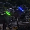 Pet LED Luminous Collar-Cattlan-Adracos