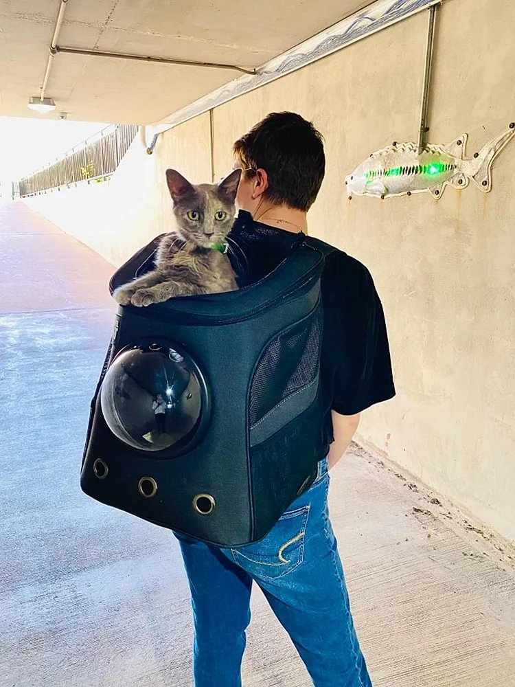 "The Explorer" Cat Backpack