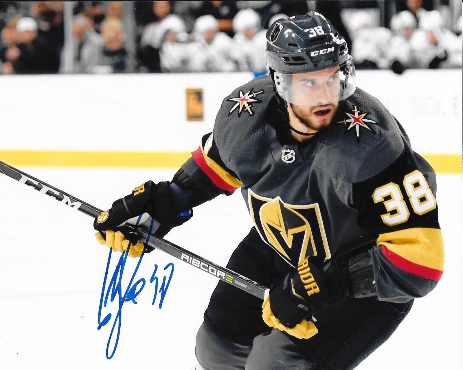 Tomas Hyka signed Las Vegas Golden Knights 8x10 Photo Poster painting autographed 5