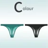 Low Rise Sexy Ice Silk Transparent Ultra Thin Seamless Thong