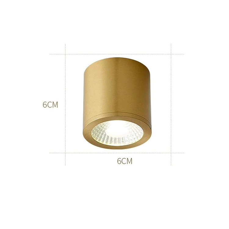 Cylindrical Copper Brass LED Modern Ceiling Light Flush Mount Lighting - Appledas