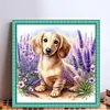 Lavender And Dachshund-11CT Stamped Cross Stitch 40*40cm/15.75*15.75in