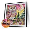 DIY Partial Special Shaped Drill Diamond Painting-Owl