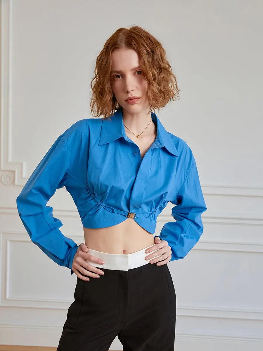 Turndown Collar Long Sleeve Pleated Button Blouses