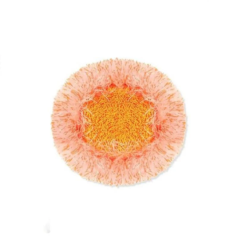 360&deg; Rotatable Adjustable Cleaning Mop