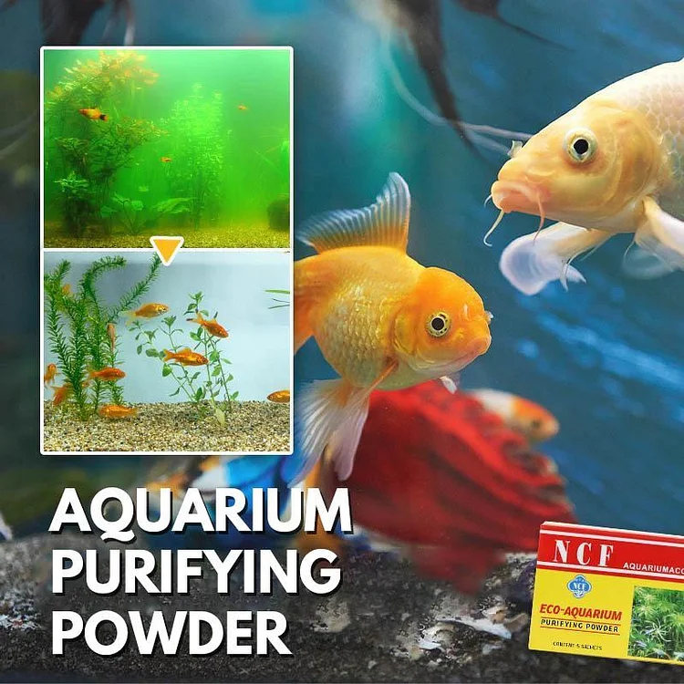 Aquarium Purifying Powder | 168DEAL
